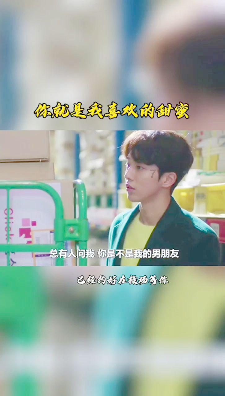 加勒比巡航